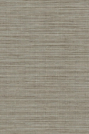 HookedOnWalls Tribu (By HW) Kasai 29345 - LAB COLOUR THE WORLD