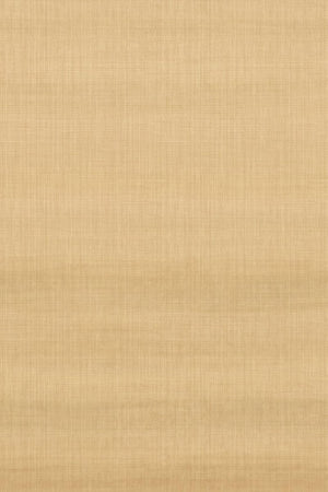 HookedOnWalls Tribu (By HW) Mursi 29371 - LAB COLOUR THE WORLD