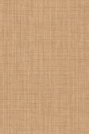 HookedOnWalls Tribu (By HW) Nuba 29321 - LAB COLOUR THE WORLD