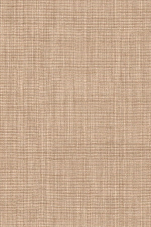HookedOnWalls Tribu (By HW) Nuba 29323 - LAB COLOUR THE WORLD