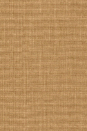 HookedOnWalls Tribu (By HW) Nuba 29325 - LAB COLOUR THE WORLD
