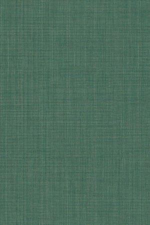 HookedOnWalls Tribu (By HW) Nuba 29327 - LAB COLOUR THE WORLD