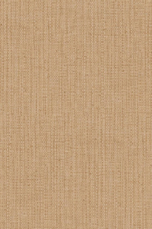 HookedOnWalls Tribu (By HW) Suma 29301 - LAB COLOUR THE WORLD