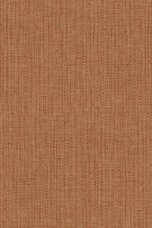 HookedOnWalls Tribu (By HW) Suma 29304 - LAB COLOUR THE WORLD