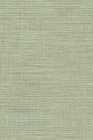 HookedOnWalls Umami Aji 30233 - LAB COLOUR THE WORLD
