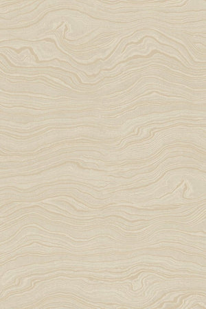 HookedOnWalls Umami Arizona 30241 - LAB COLOUR THE WORLD