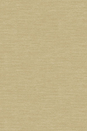 HookedOnWalls Umami Enoki 30226 - LAB COLOUR THE WORLD