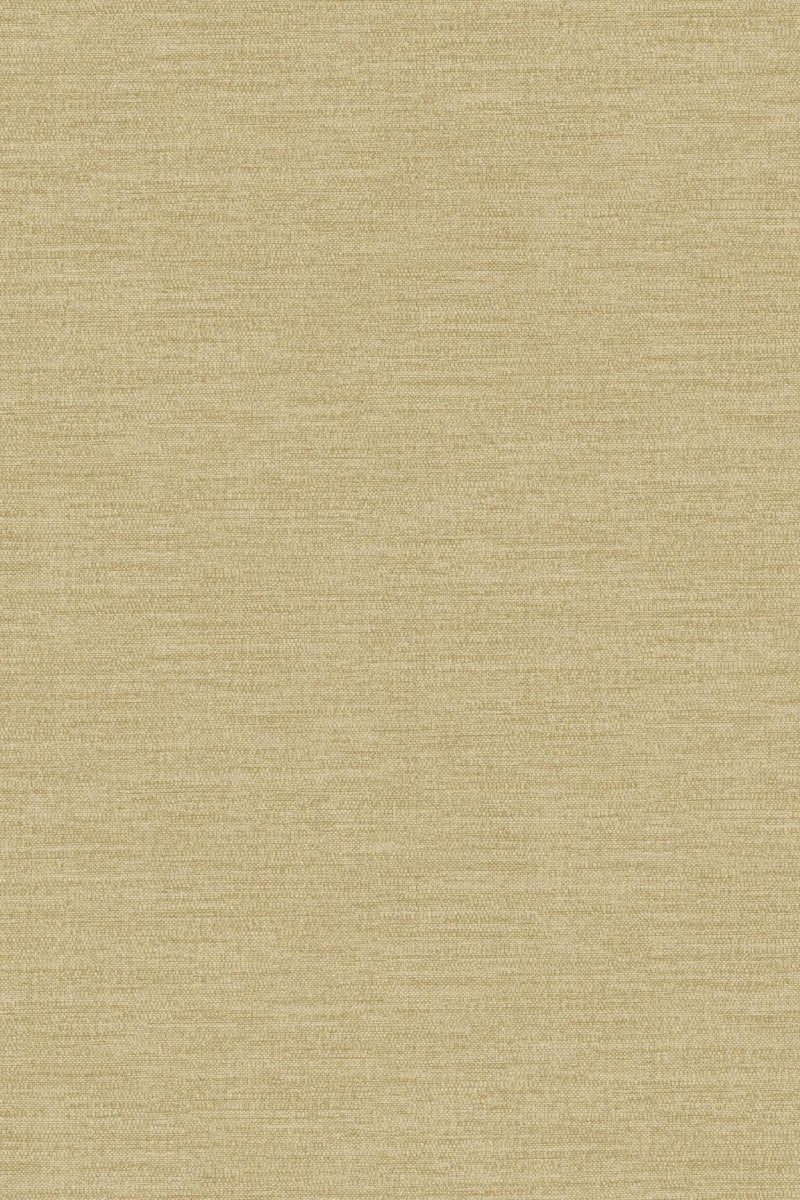 HookedOnWalls Umami Enoki 30226 - LAB COLOUR THE WORLD