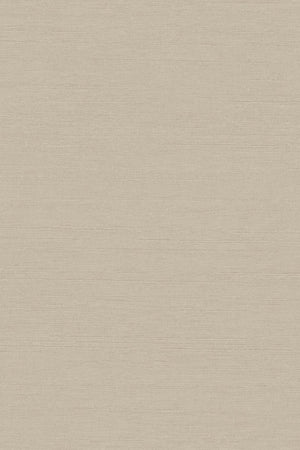 HookedOnWalls Umami Ginger 30246 - LAB COLOUR THE WORLD