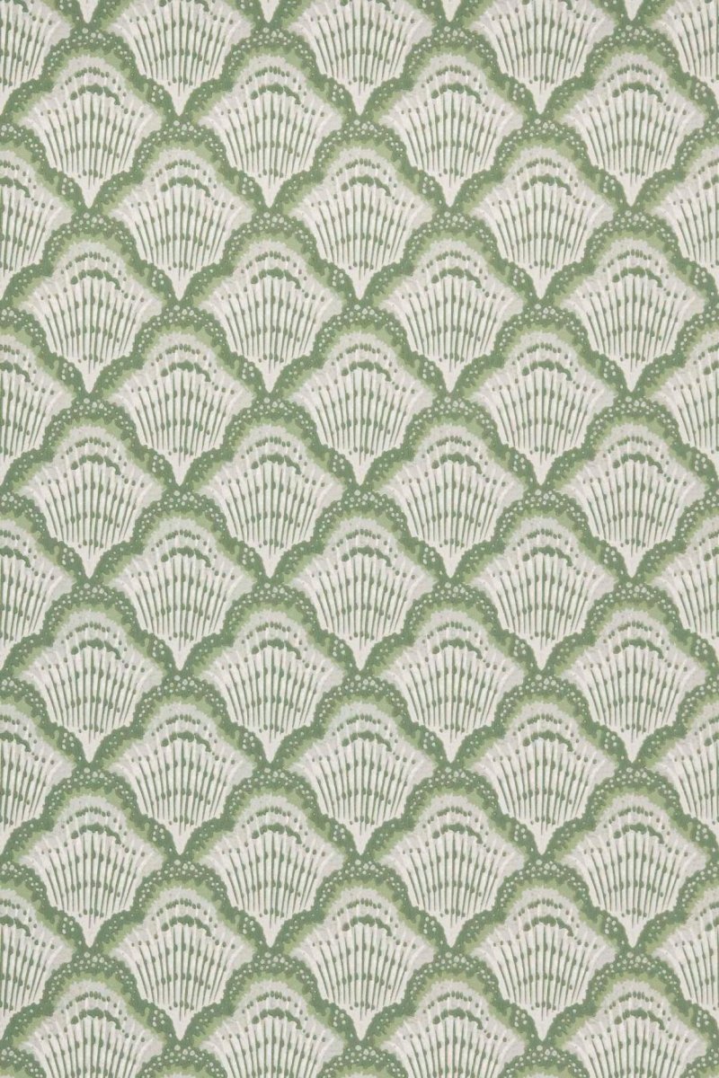 HookedOnWalls Young Traditionals Calico Shell 27841 - LAB COLOUR THE WORLD