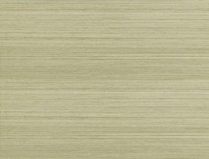 Jim Thompson Strie Sisal Behang JT021039001 - LAB COLOUR THE WORLD