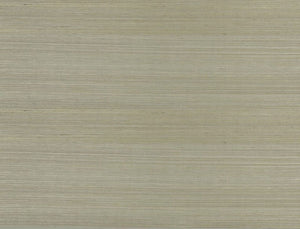 Jim Thompson Strie Sisal Behang JT021039009 - LAB COLOUR THE WORLD