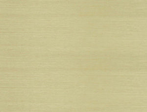 Jim Thompson Surat Sisal Behang JT021038003 - LAB COLOUR THE WORLD