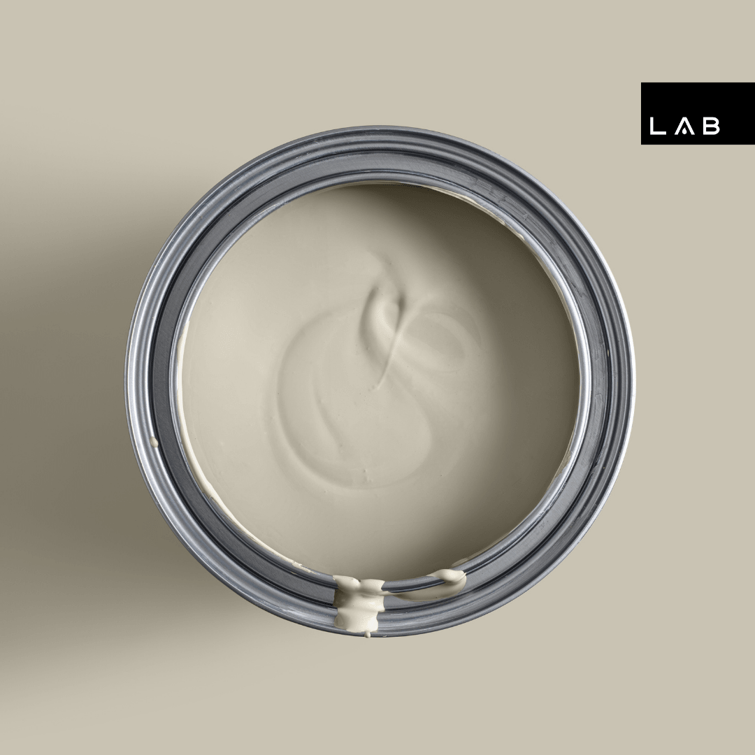 JUST JIMMY NO. 559 - LAB COLOUR THE WORLD