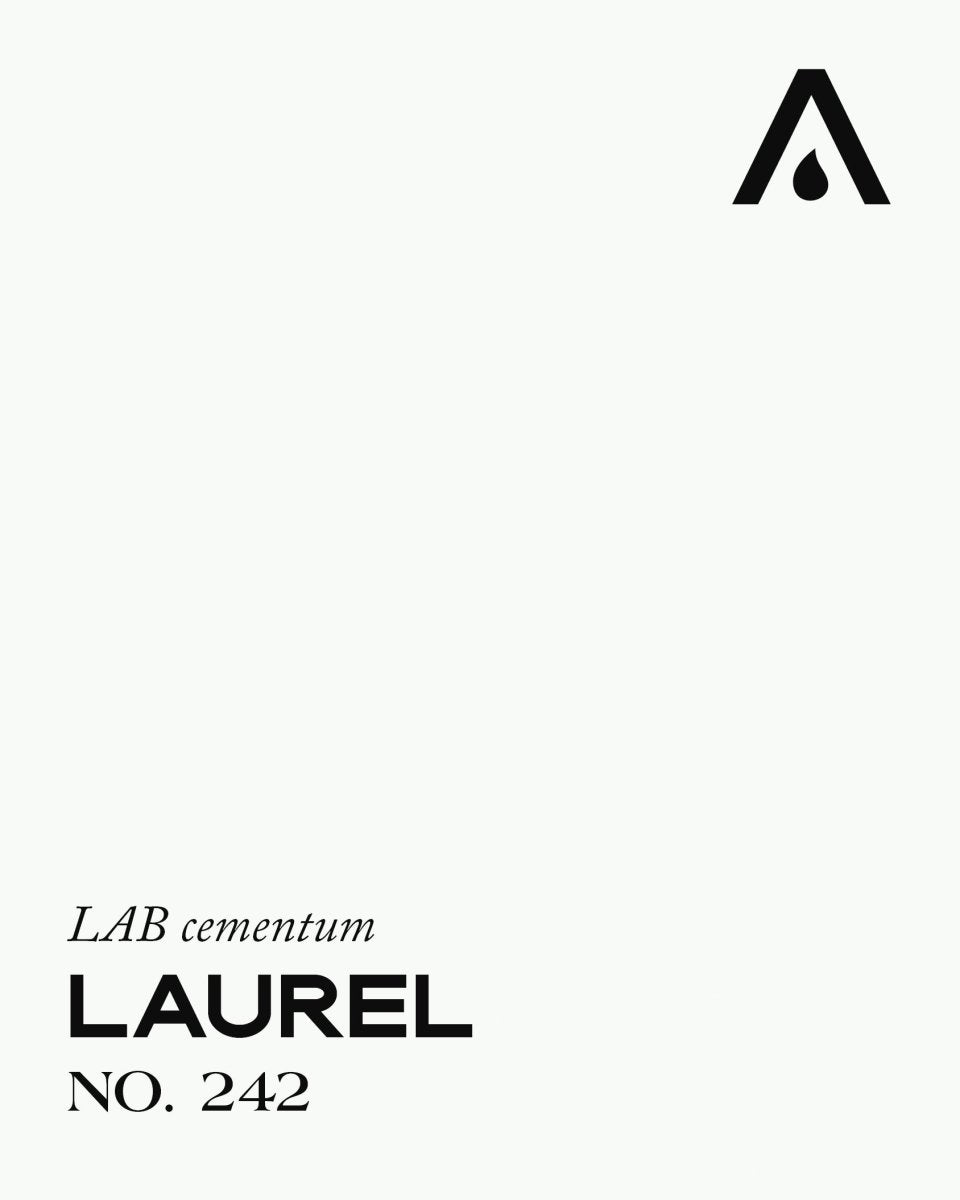 LAUREL NO. 242 - LAB COLOUR THE WORLD