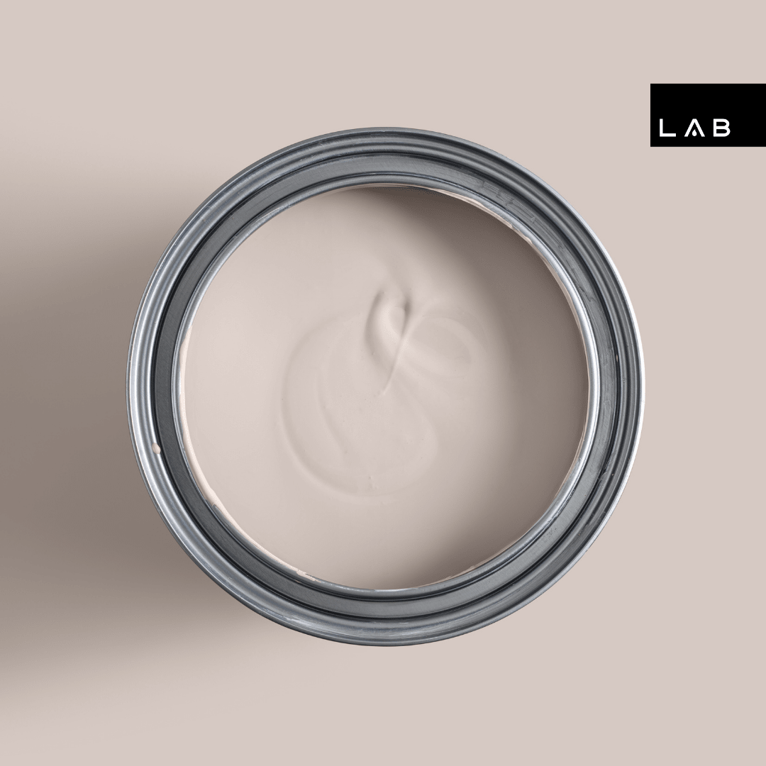 LAZY SUNDAY NO. 429 - LAB COLOUR THE WORLD