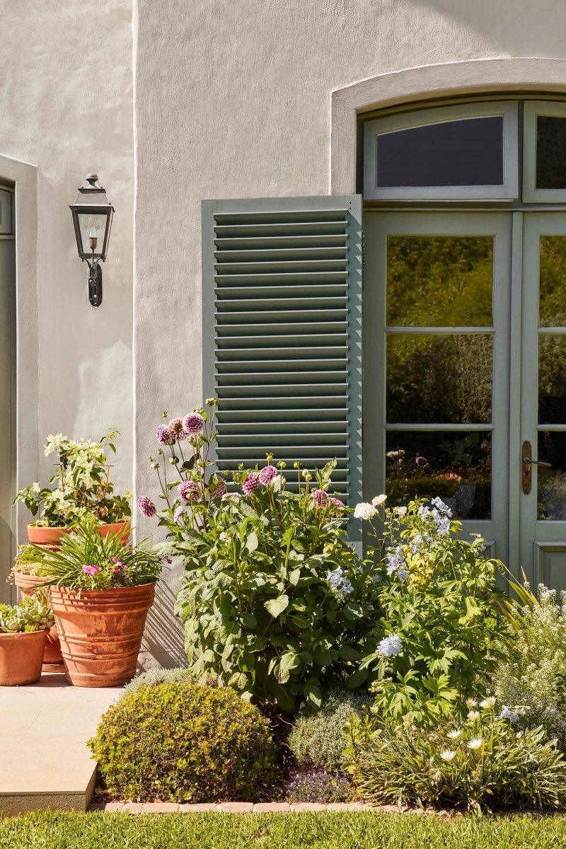 Livid no. 263 - LAB COLOUR THE WORLD