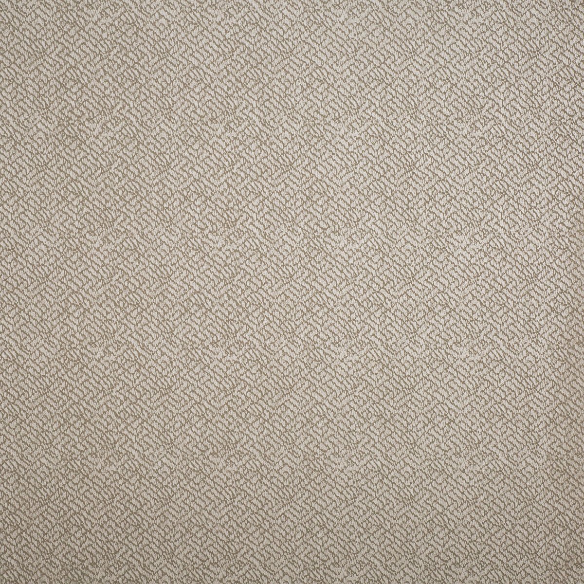 Lizzo Behang Tonalita 21572 - LAB COLOUR THE WORLD