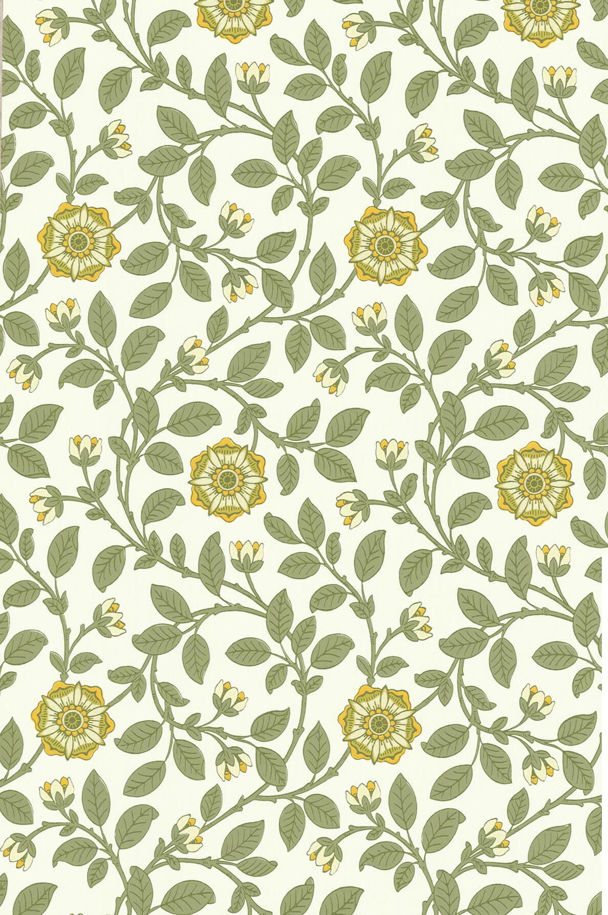 Little Greene Richmond Green Behang 0251RGGUINE - LAB COLOUR THE WORLD
