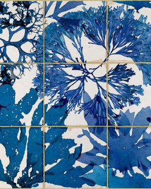 Mind The Gap Algae in Blue Behang WP20179 - LAB COLOUR THE WORLD