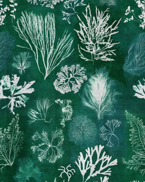 Mind The Gap Algae Moss Behang WP20296 - LAB COLOUR THE WORLD