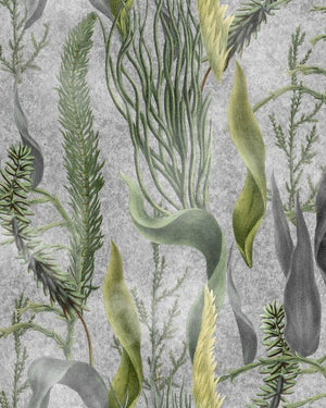 Mind The Gap Aquatic Plants Grey Behang WP20718 - LAB COLOUR THE WORLD