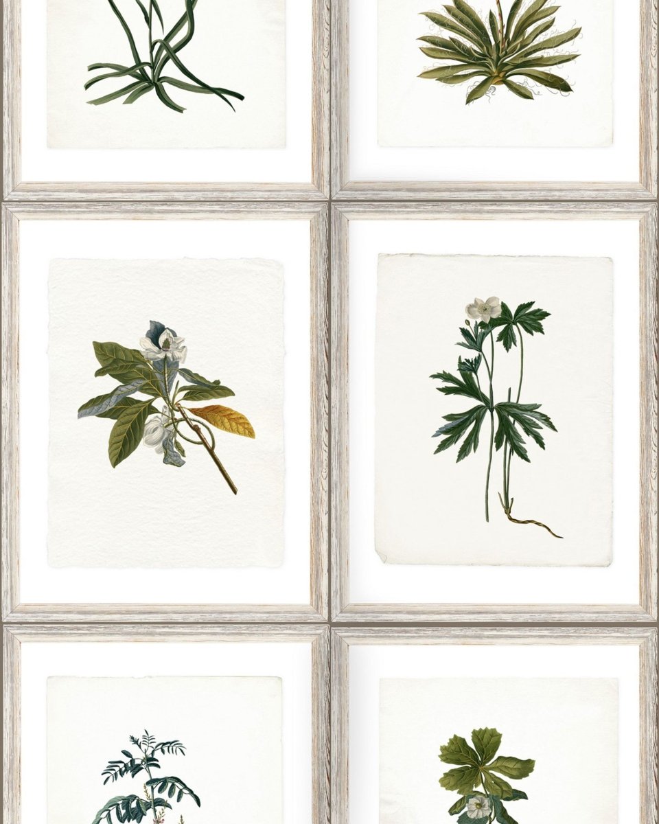 Mind The Gap Botany Behang WP20153 - LAB COLOUR THE WORLD
