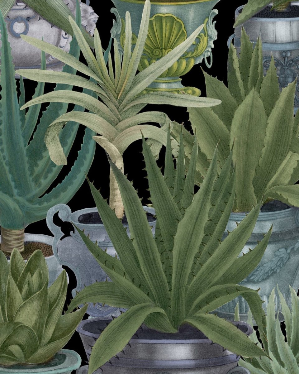 Mind The Gap Echeveria Behang WP20163 - LAB COLOUR THE WORLD