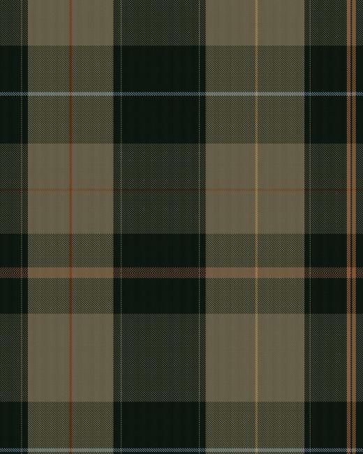 Mind The Gap Equestrian Plaid Khaki Behang WP30109 - LAB COLOUR THE WORLD