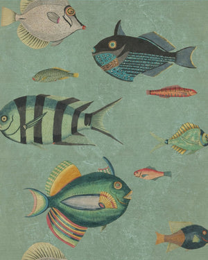 Mind The Gap Poissons Behang WP20181 - LAB COLOUR THE WORLD