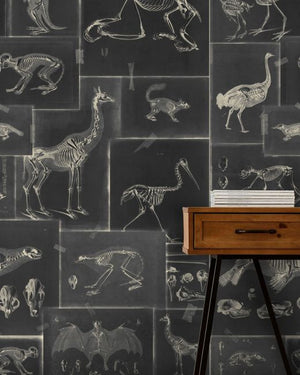 Mind The Gap Zooarchaeology Anthracite Behang WP20237 - LAB COLOUR THE WORLD
