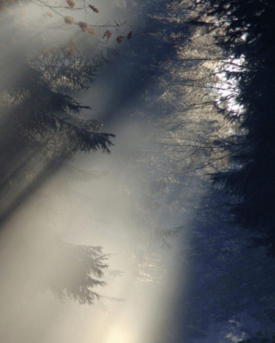 MIST NO. 128 - LAB COLOUR THE WORLD