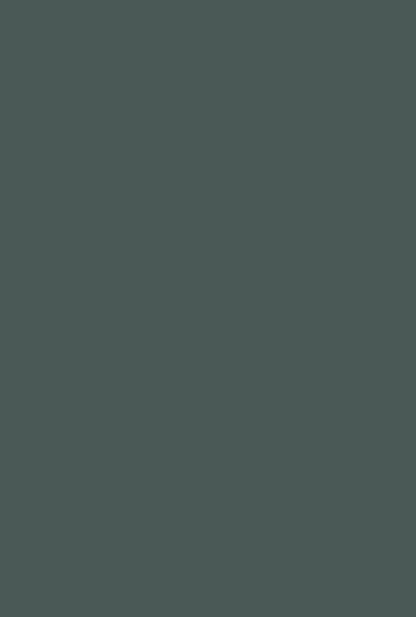 Monkey Puzzle no. 238 - LAB COLOUR THE WORLD
