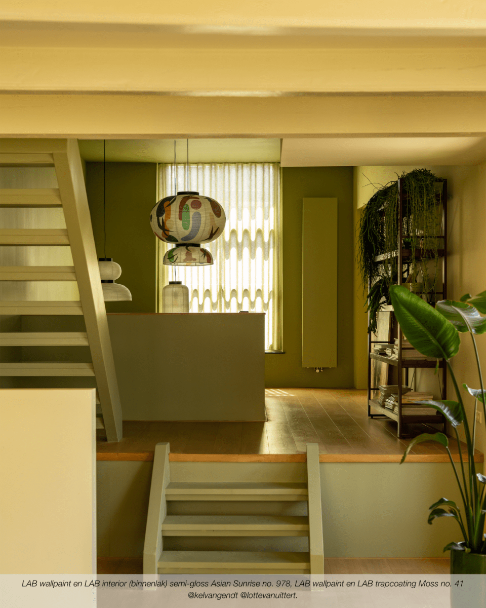 MOSS NO. 41 - LAB COLOUR THE WORLD