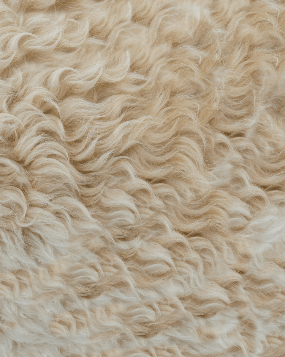 MRS. WOOL NO. 108 - LAB COLOUR THE WORLD