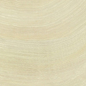 ÉLITIS Lanzarote Calero Behang VP 1028 04 - Source d'inspiration