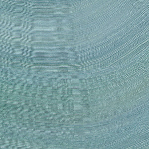 ÉLITIS Lanzarote Calero Behang VP 1028 41 - Sillage tropical