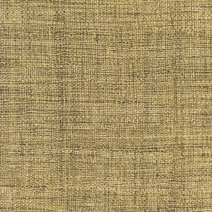 ÉLITIS Madagascar Arrowroot Raw Raffia Behang VP 731 40 - Tout un raffinement