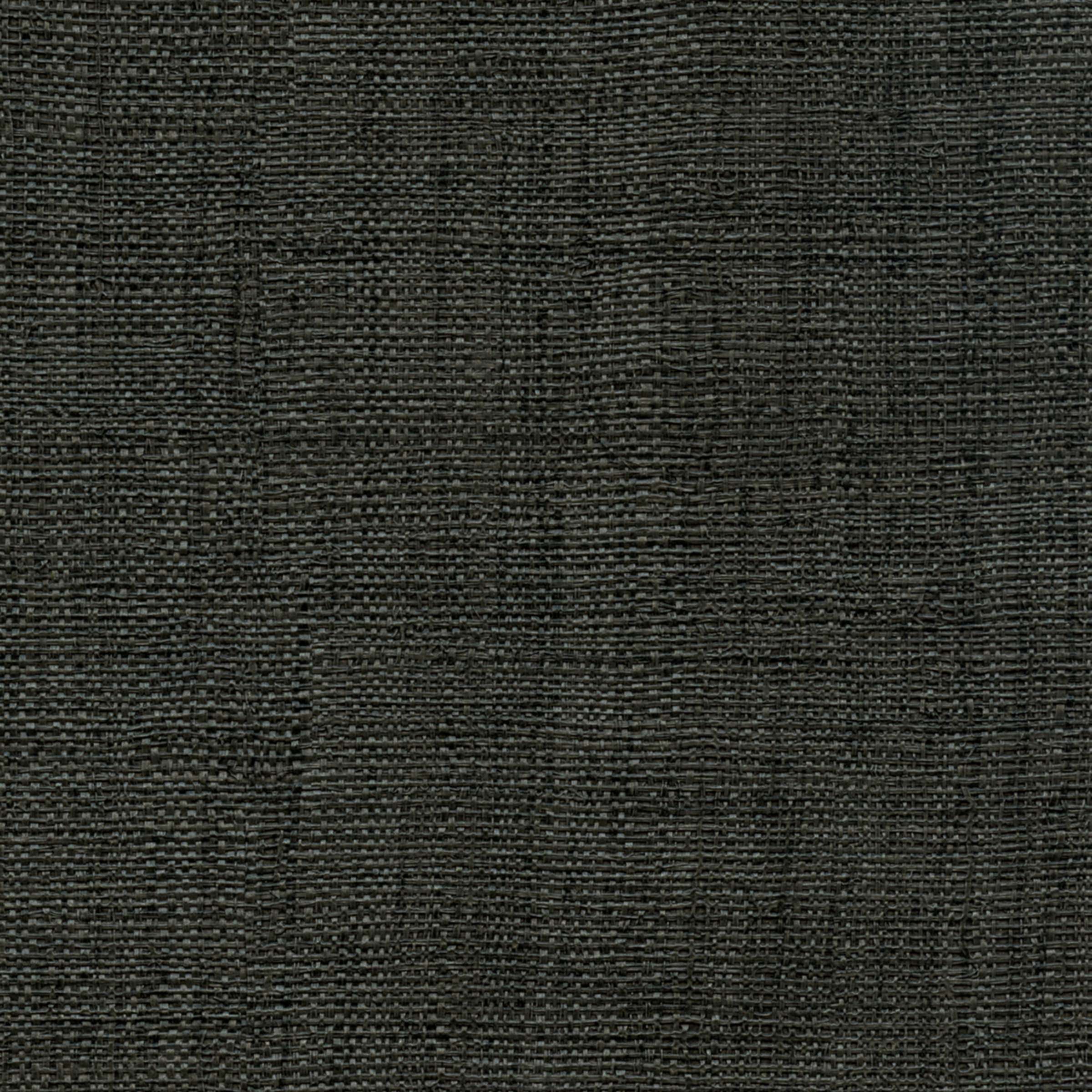 ÉLITIS Madagascar Arrowroot Raw Raffia Behang VP 731 41 - Pour mieux la sublimer