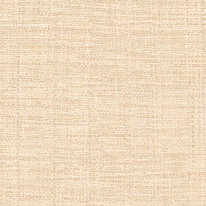 ÉLITIS Madagascar Arrowroot Raw Raffia Behang VP 731 50 - À peine éclose !
