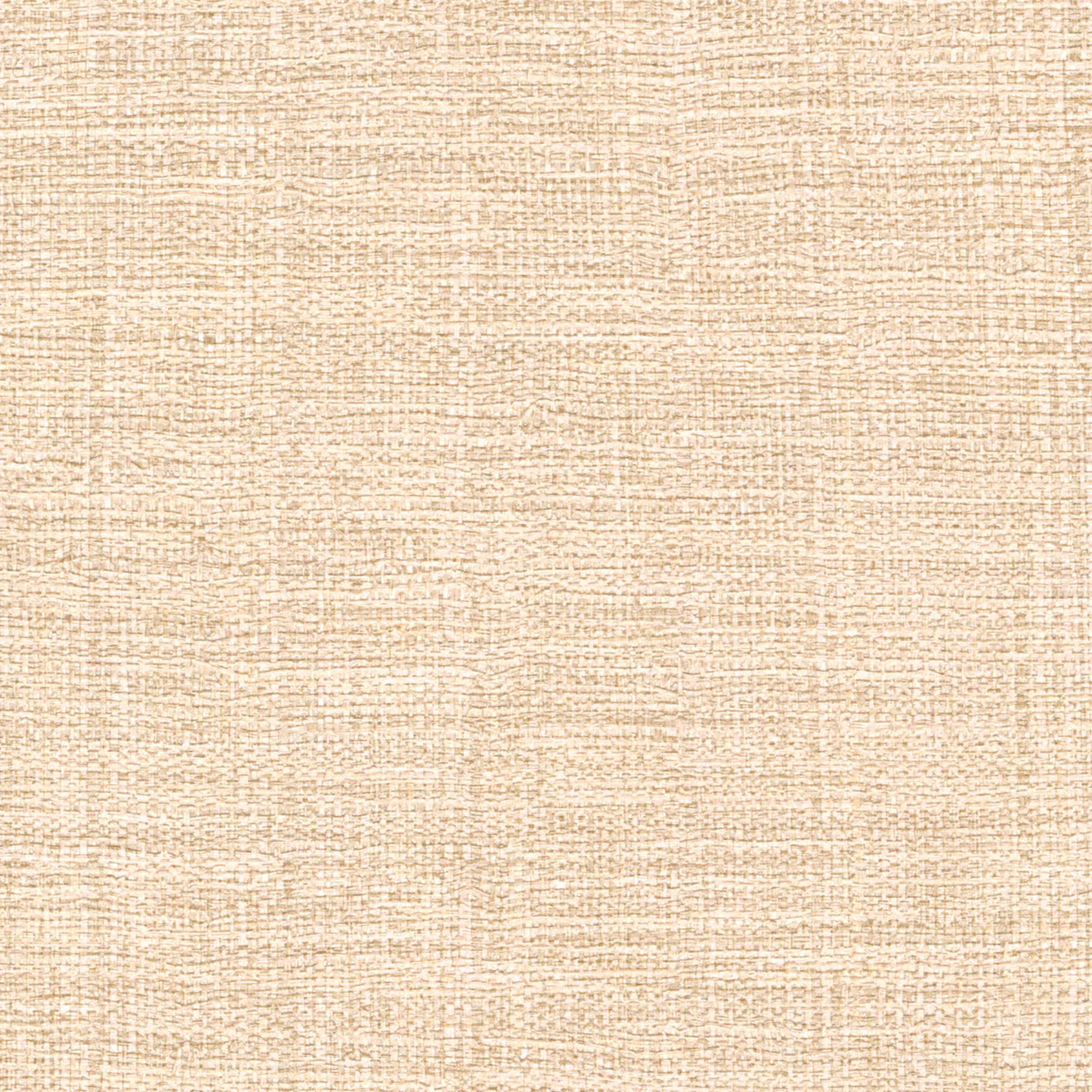 ÉLITIS Madagascar Arrowroot Raw Raffia Behang VP 731 50 - À peine éclose !