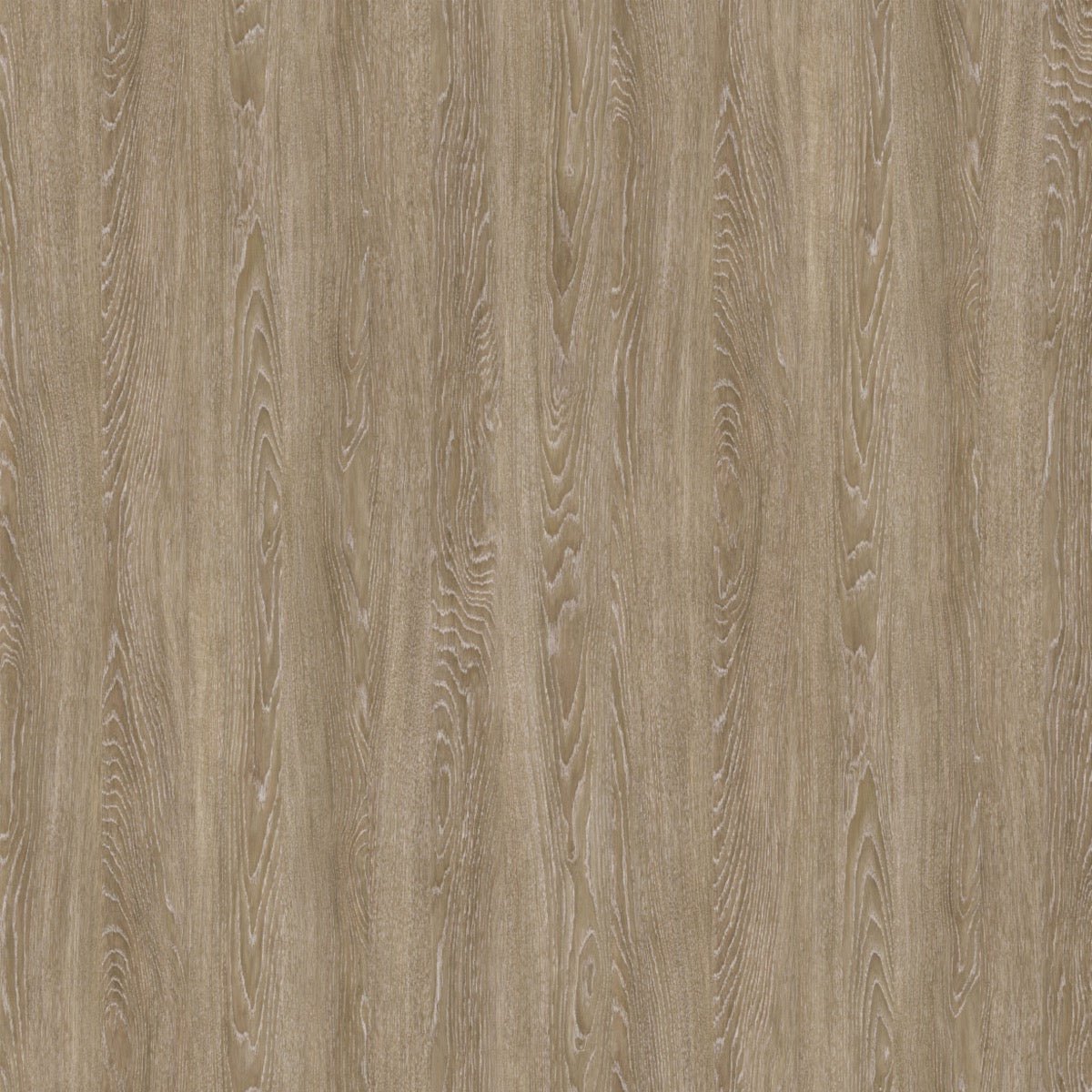 Nobilis Grand Chêne Beige Behang PBS36 - LAB COLOUR THE WORLD