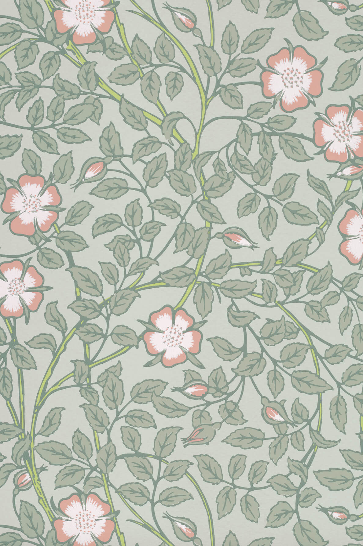 Little Greene Briar Rose Behang 0263BRSALIX - LAB COLOUR THE WORLD