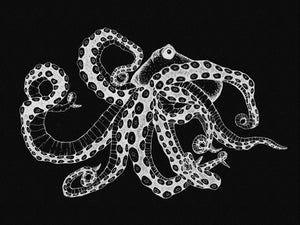 Coordonné Naturae Octopus XRay behang 9500802 behang afbeelding 1
