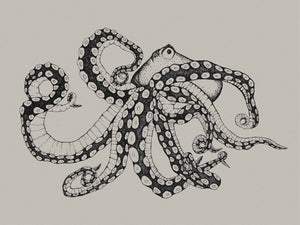 Coordonné Naturae Octopus XRay behang 9500800 behang afbeelding 1