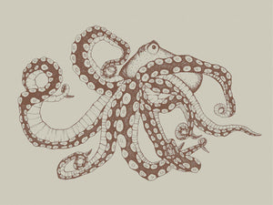 Coordonné Naturae Octopus XRay behang 9500801 behang afbeelding 1
