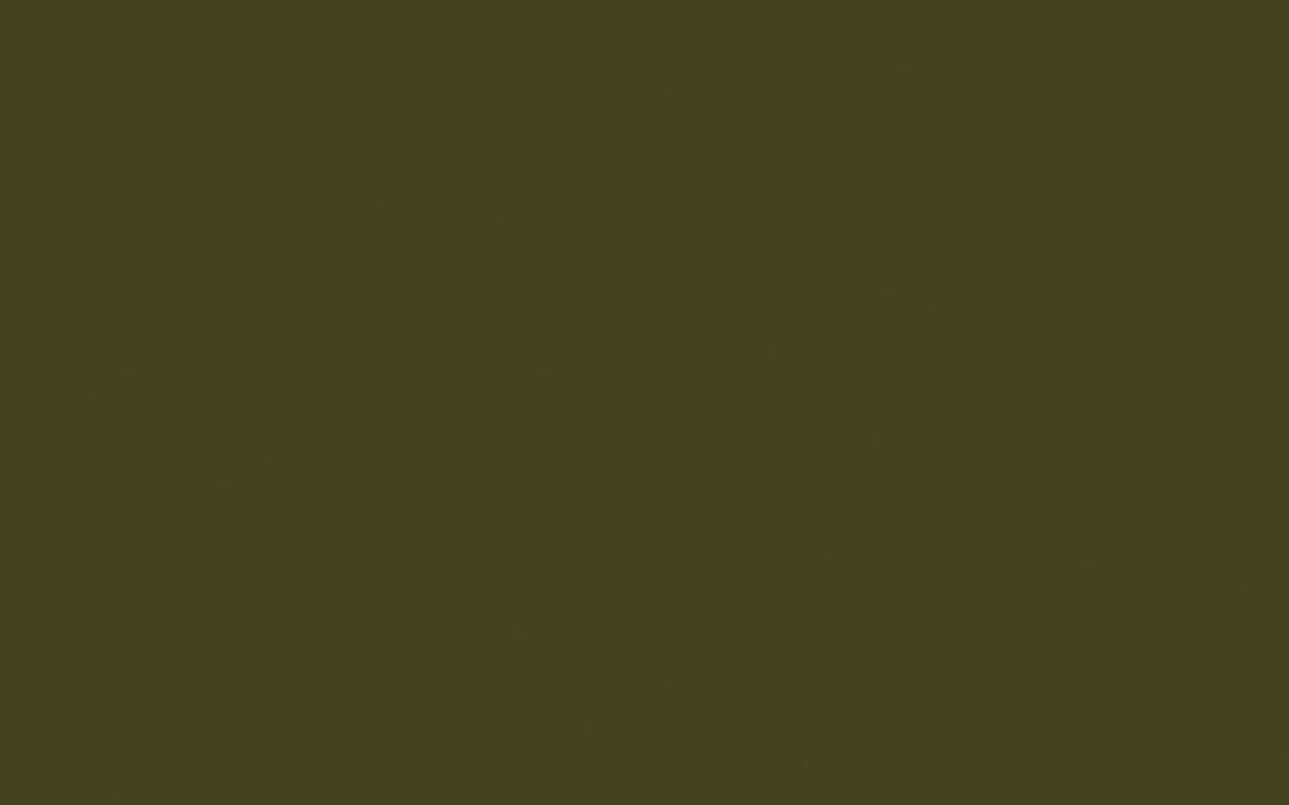 Olive Colour no. 72 - LAB COLOUR THE WORLD