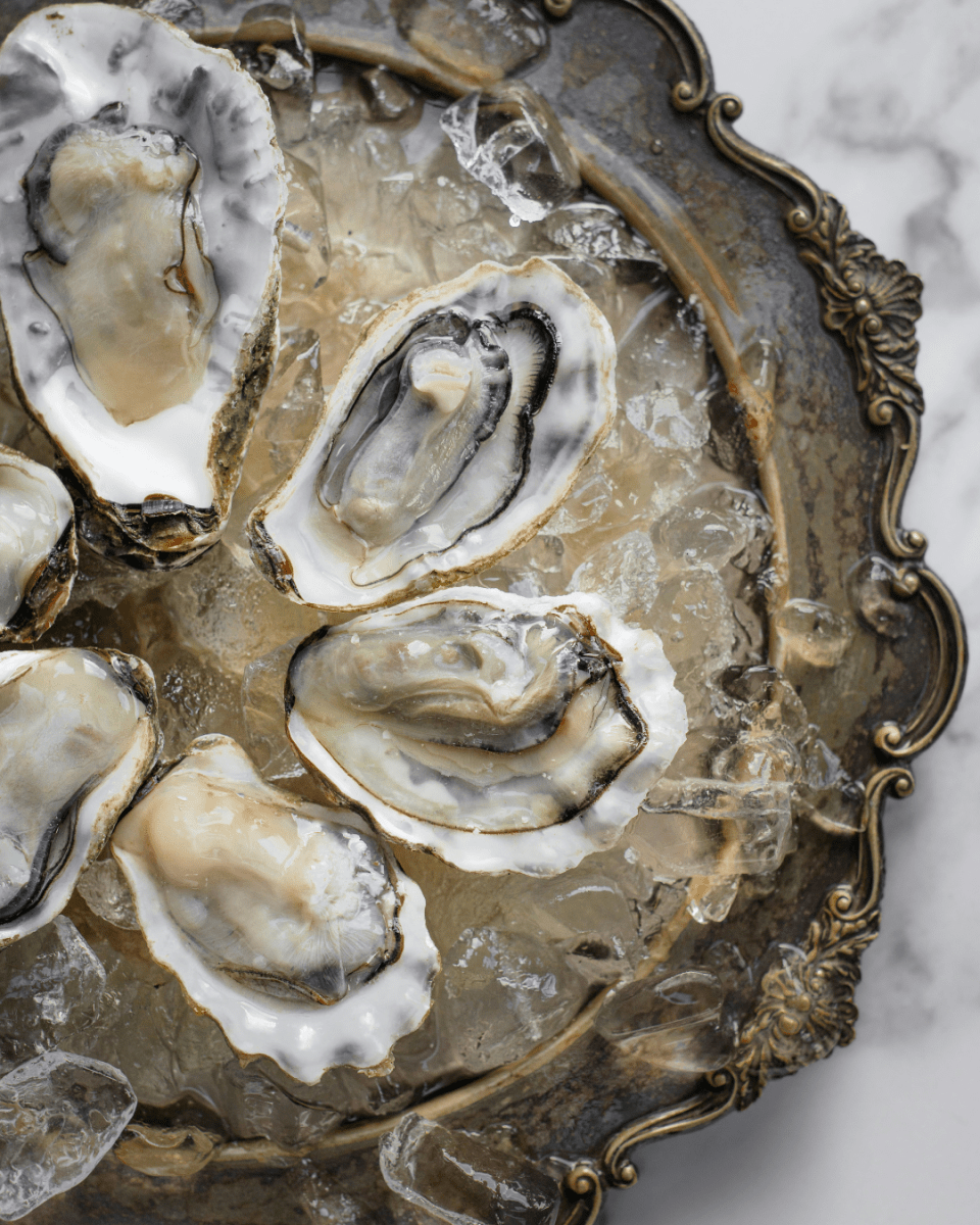 OYSTER CRUSH NO. 581 - LAB COLOUR THE WORLD