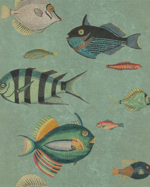 Mind The Gap Poissons Behang