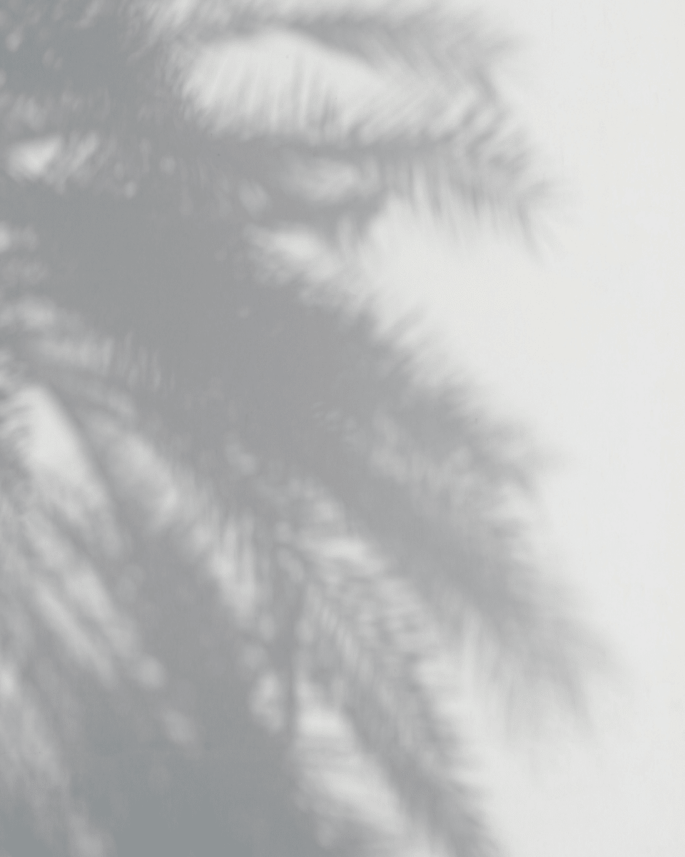 PALE GREY NO. 93 - LAB COLOUR THE WORLD